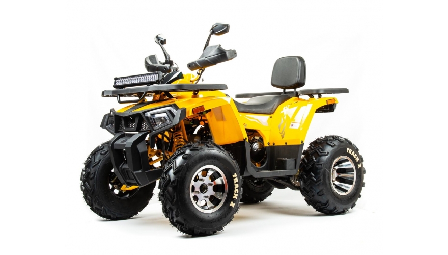 Купить Квадроцикл BISON Track X PRO в Москве