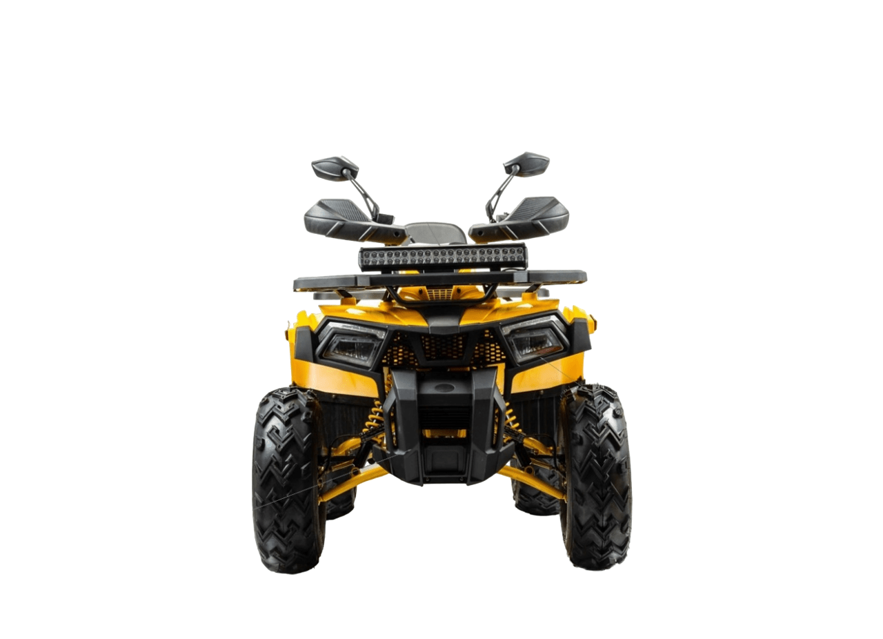 Купить Квадроцикл BISON Track X PRO в Москве фото2