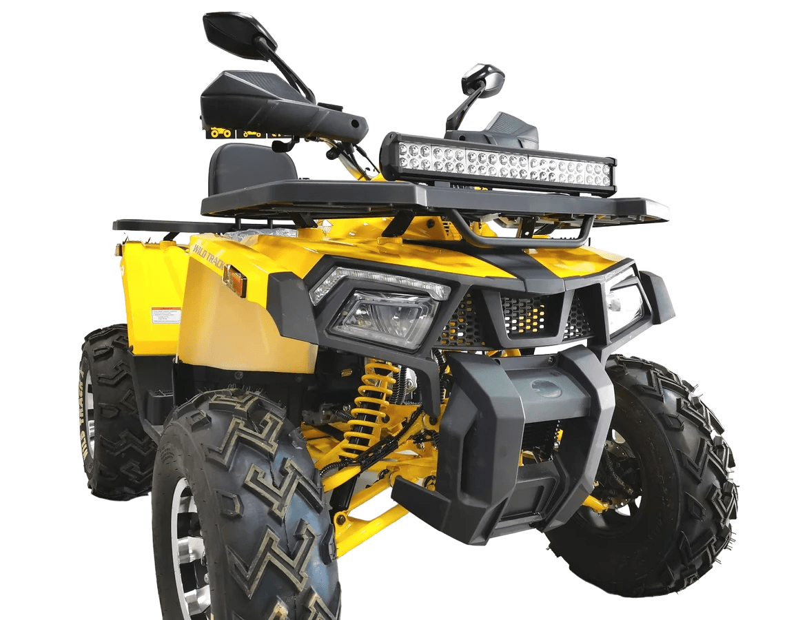 Купить Квадроцикл BISON Track X PRO в Москве фото3