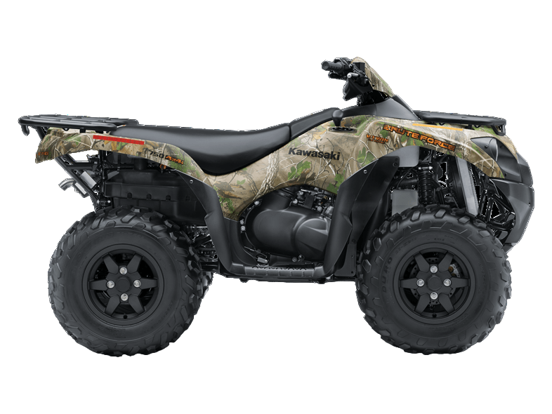 Купить Квадроцикл BRUTE FORCE 750 4X4I EPS Camo (ПСМ) в Москве фото2