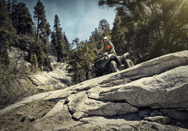 Купить Квадроцикл BRUTE FORCE 750 4X4I EPS Camo (ПСМ) в Москве фото6