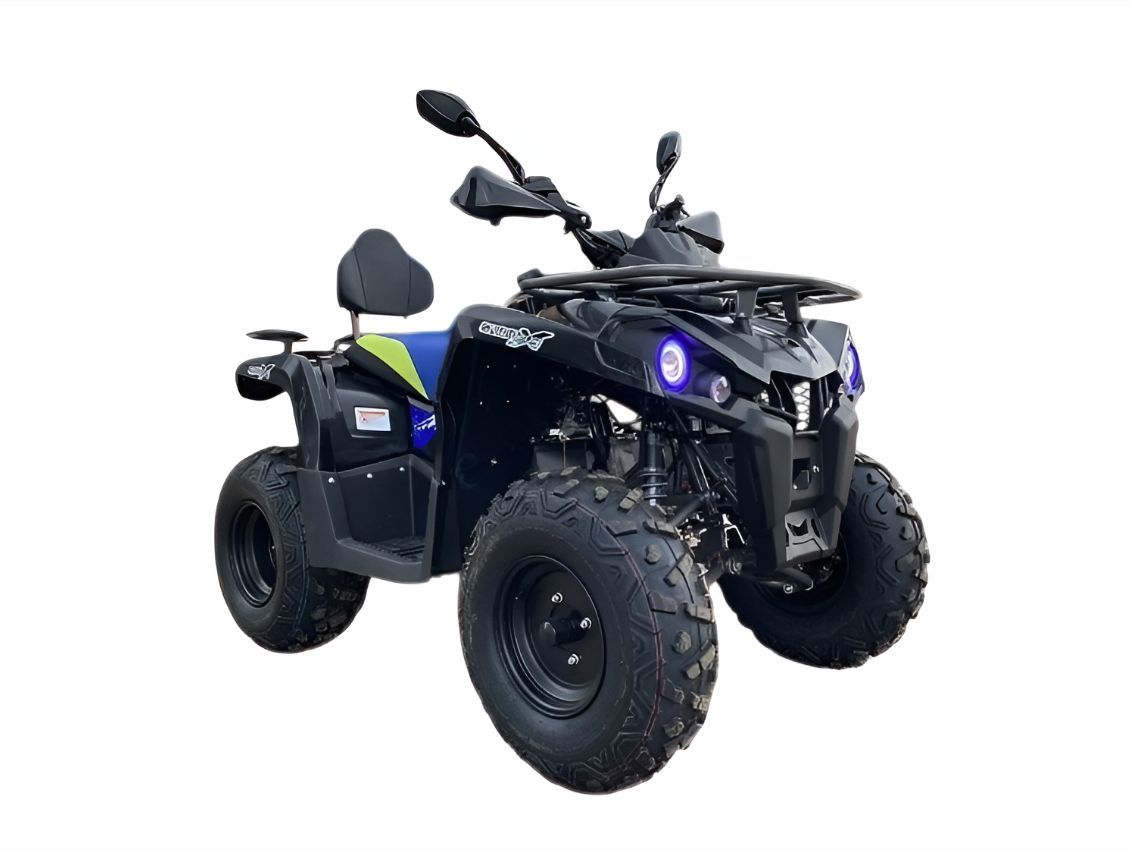 Купить Квадроцикл GLADIATOR F200 Premium в Москве фото2