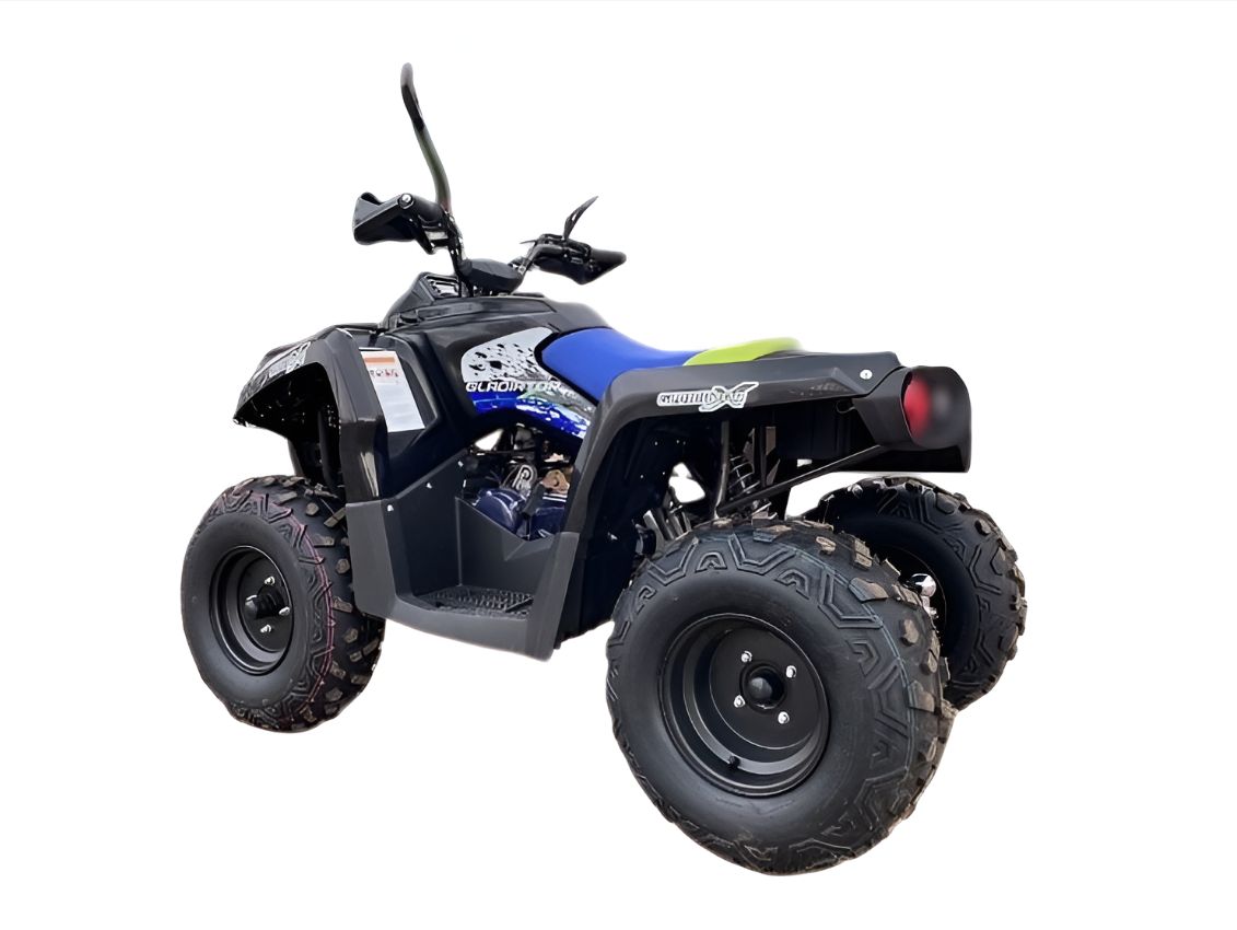 Купить Квадроцикл GLADIATOR F200 Premium в Москве фото3