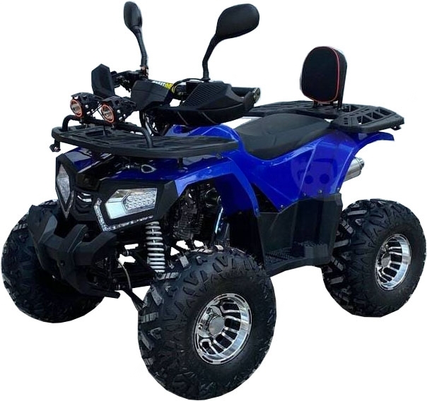 Купить Квадроцикл GRIZZLY Aerox 125cc New 2022 в Москве