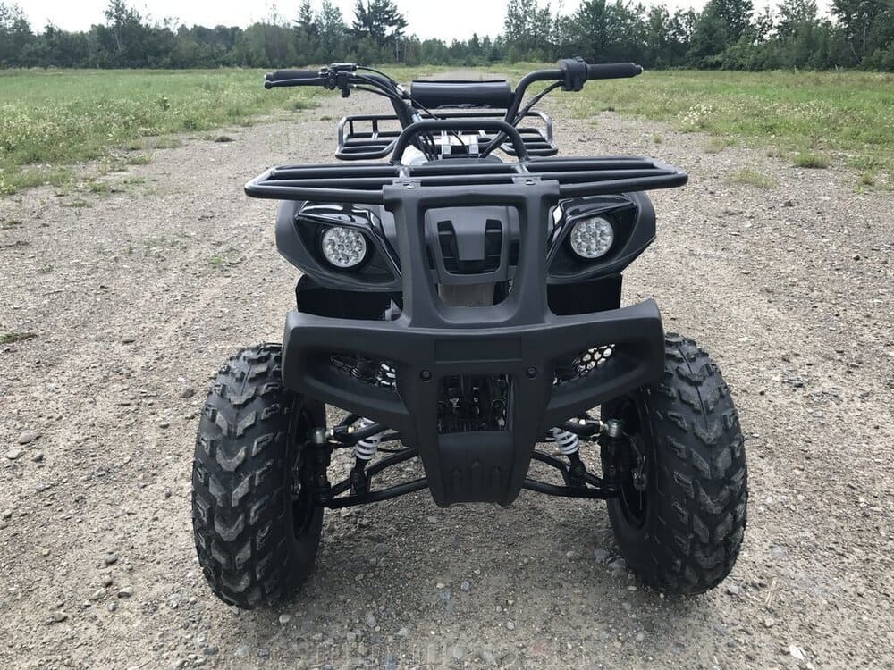 Купить Квадроцикл HAMMER Hunter 300 в Москве фото3