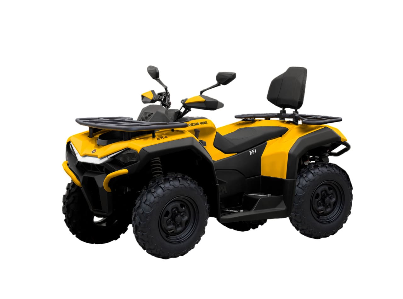 Купить Квадроцикл HISUN Guardian 400L Long в Москве