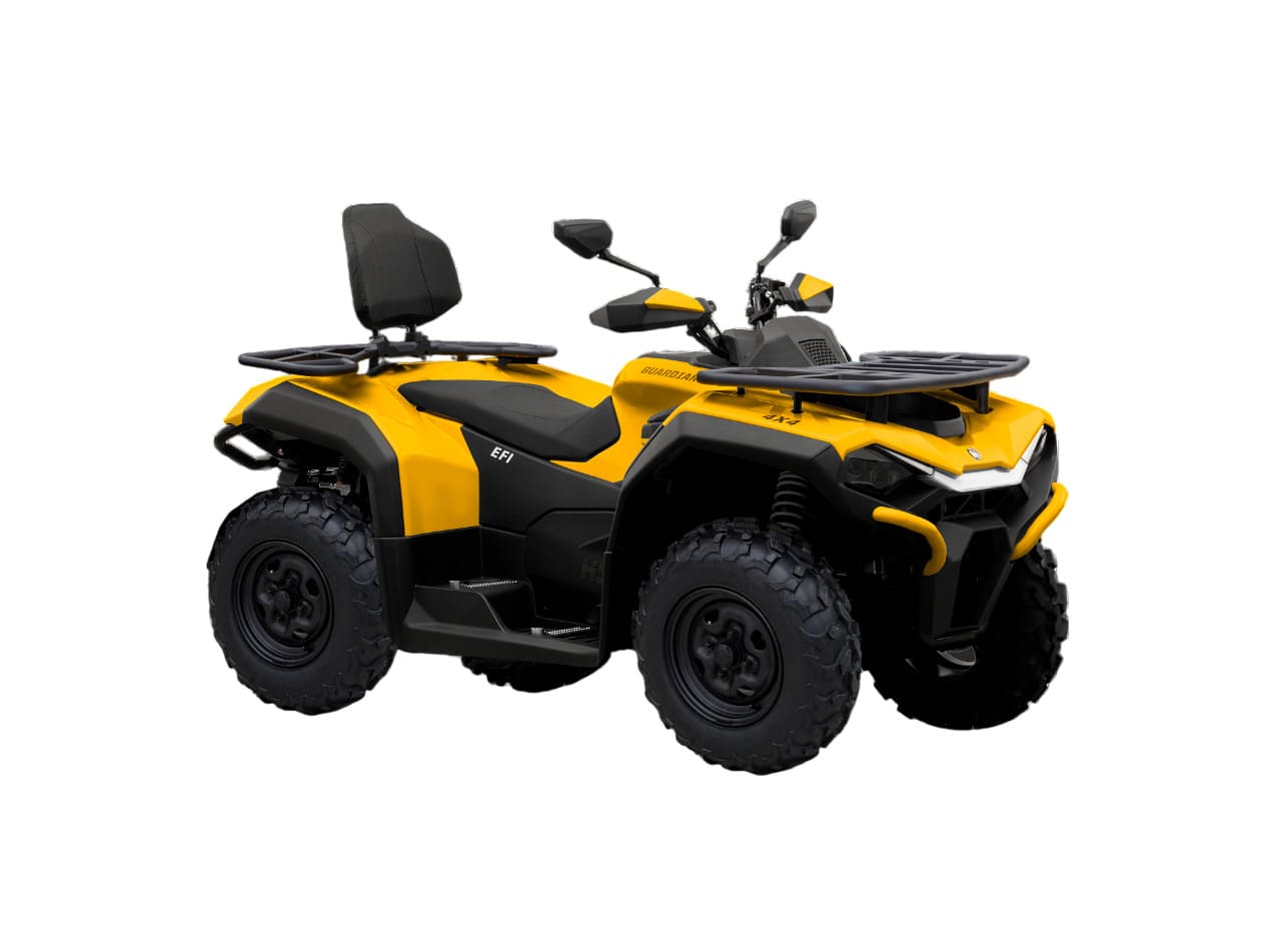 Купить Квадроцикл HISUN Guardian 400L Long в Москве фото4