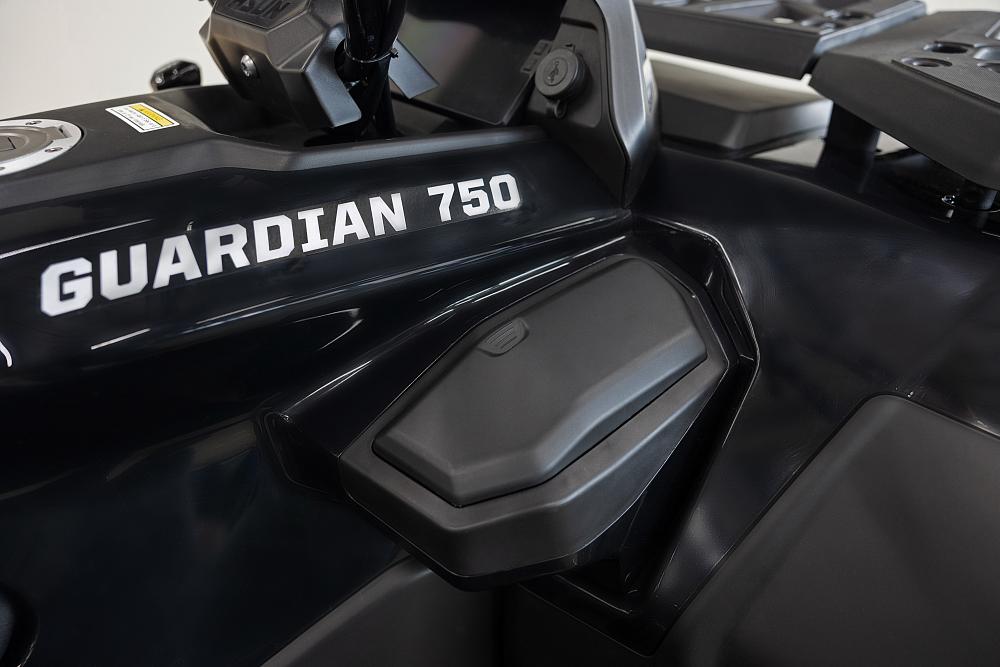 Купить Квадроцикл HISUN Guardian 750S Short (ПСМ) в Москве фото10