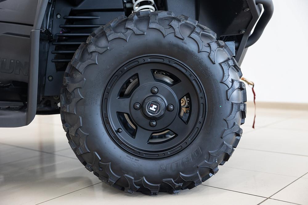 Купить Квадроцикл HISUN Guardian 750S Short (ПСМ) в Москве фото16