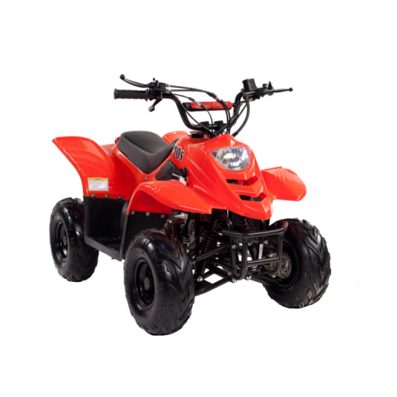 Купить Квадроцикл IRBIS Dingo 50s в Москве фото2