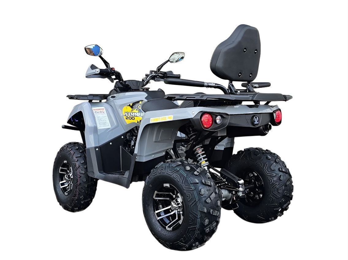 Купить Квадроцикл MIKILON Hammer 200 Lux в Москве фото3
