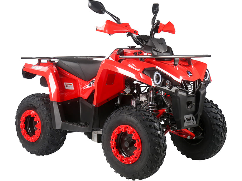 Купить Квадроцикл MIKILON Hammer 200L в Москве фото2