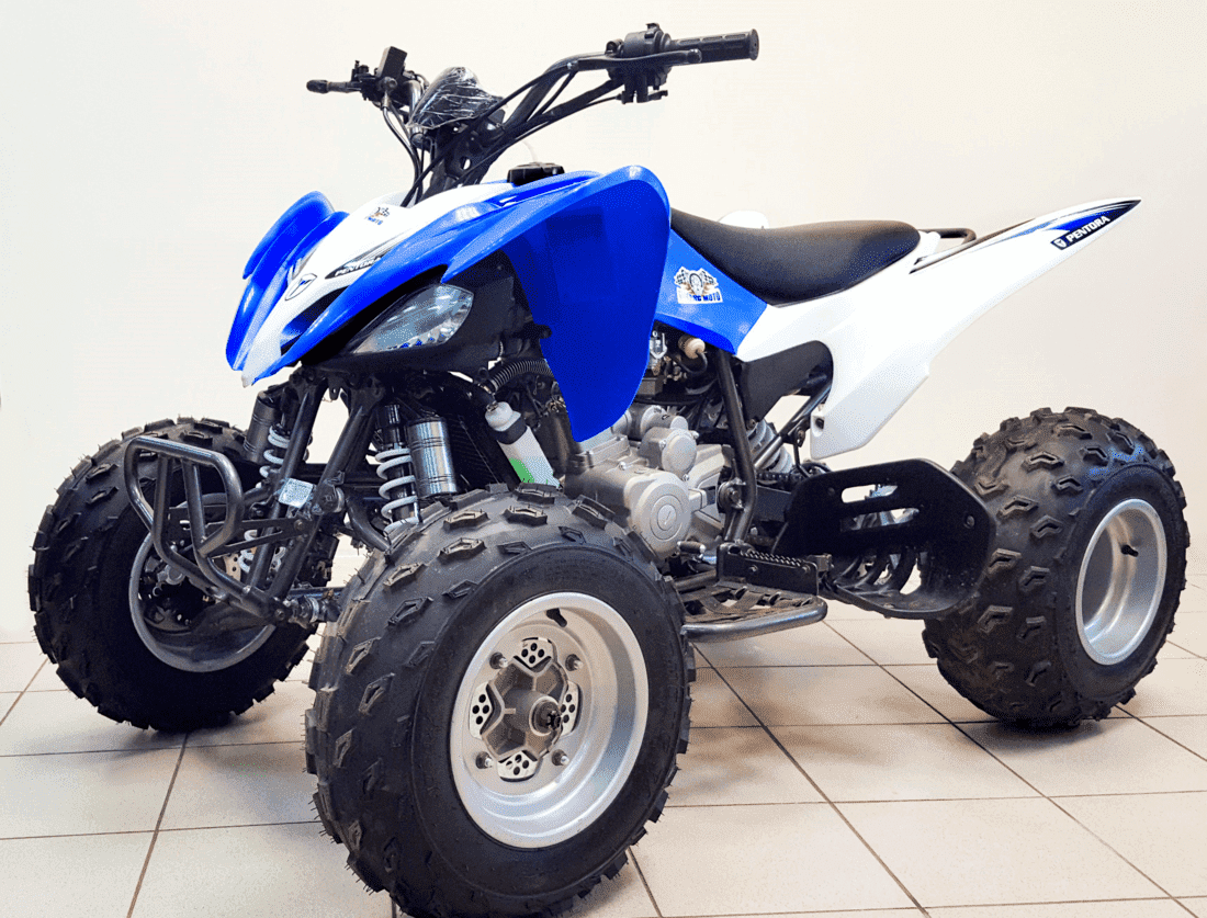 Купить Квадроцикл MIKILON Rapide 250S в Москве фото4