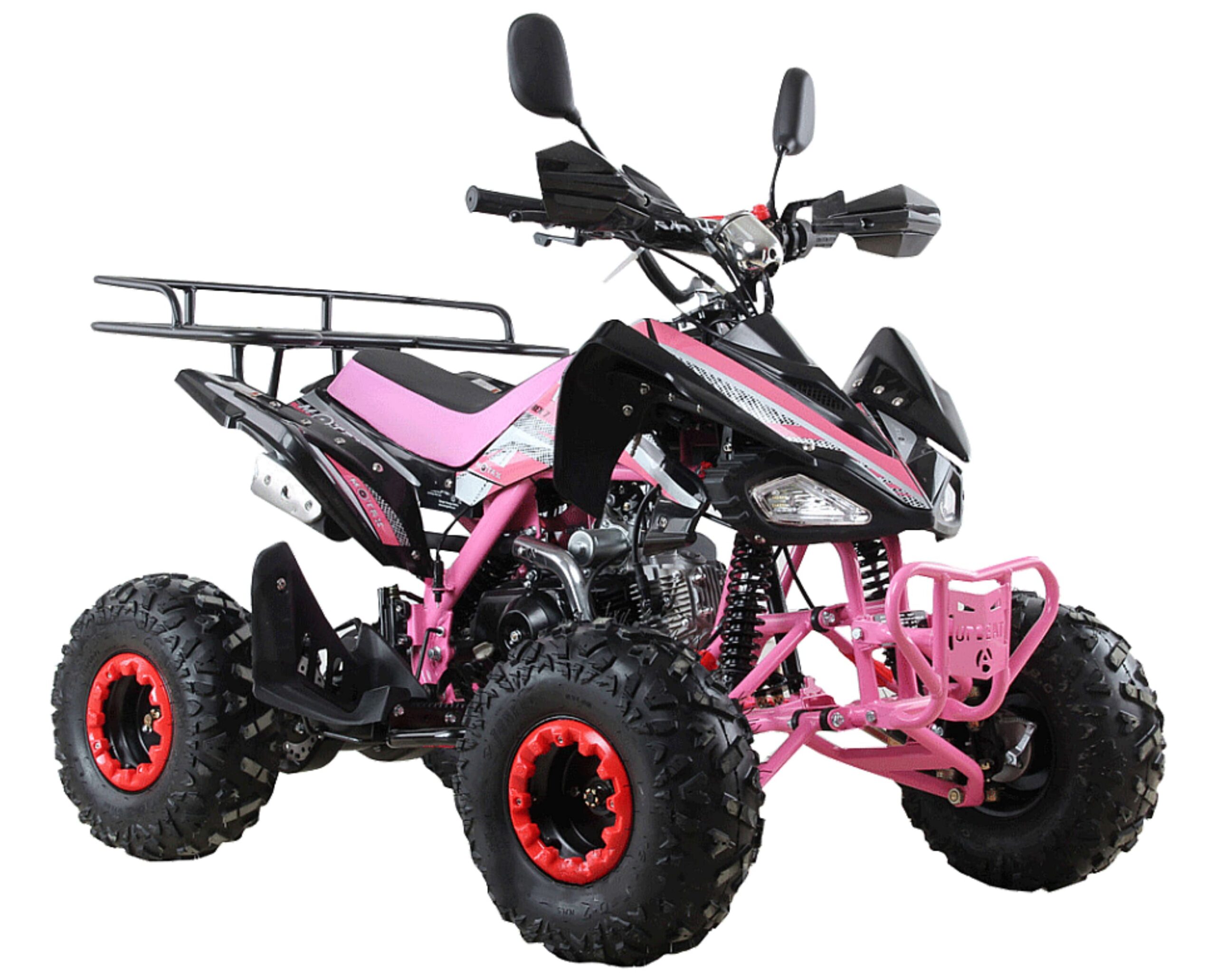 Купить Квадроцикл MOTAX ATV T-Rex Super LUX 125 cc в Москве фото4