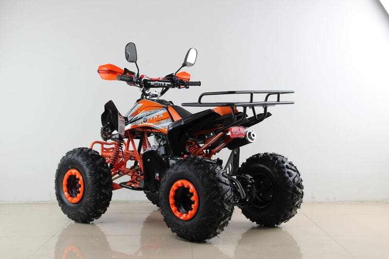 Купить Квадроцикл MOTAX ATV T-Rex Super LUX 50 cc в Москве фото6