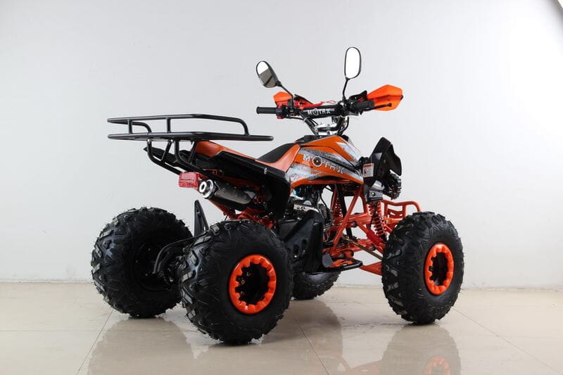 Купить Квадроцикл MOTAX ATV T-Rex Super LUX 50 cc в Москве фото7
