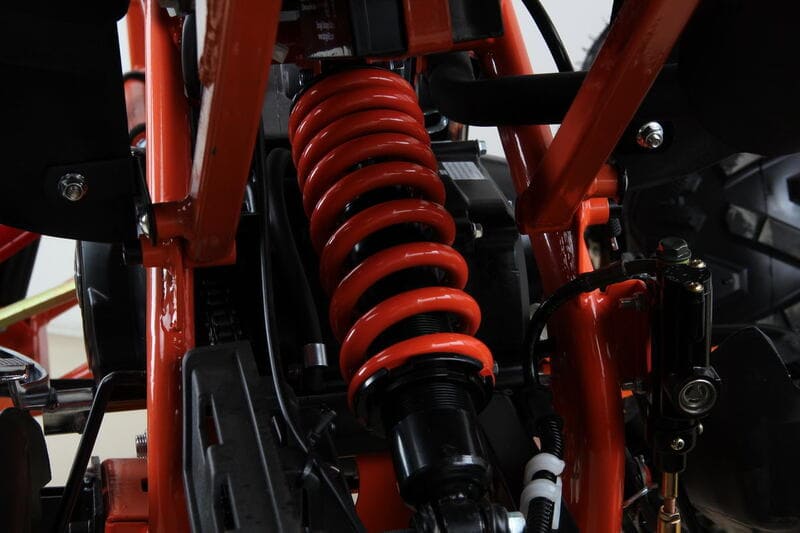 Купить Квадроцикл MOTAX ATV T-Rex Super LUX 50 cc в Москве фото18