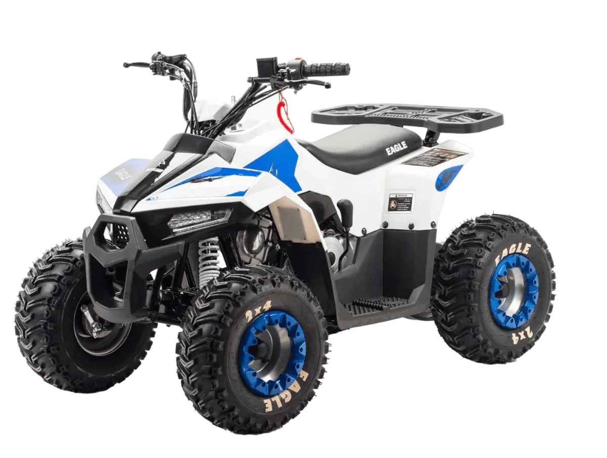 Купить Квадроцикл MOTOLAND 110 Eagle (2021 Г.) в Москве