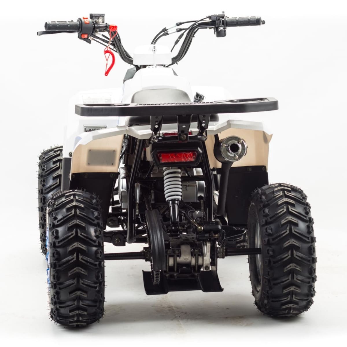 Купить Квадроцикл MOTOLAND 110 Eagle (2021 Г.) в Москве фото4