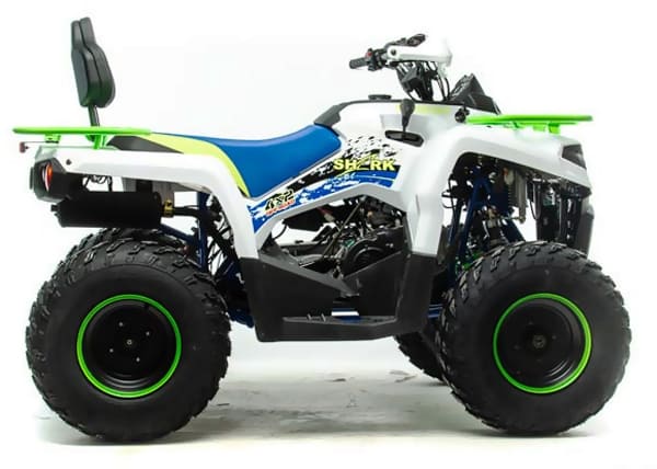 Купить Квадроцикл MOTOLAND 200 Shark (2021 Г.) в Москве фото3