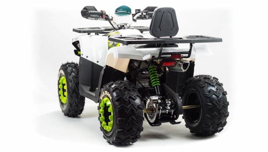 Купить Квадроцикл MOTOLAND 200 Wild Track Lux ( Баланс. вал) (2021 Г.) в Москве фото4
