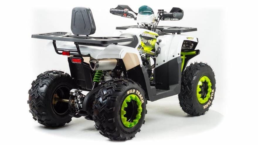 Купить Квадроцикл MOTOLAND 200 Wild Track Lux ( Баланс. вал) (2021 Г.) в Москве фото6