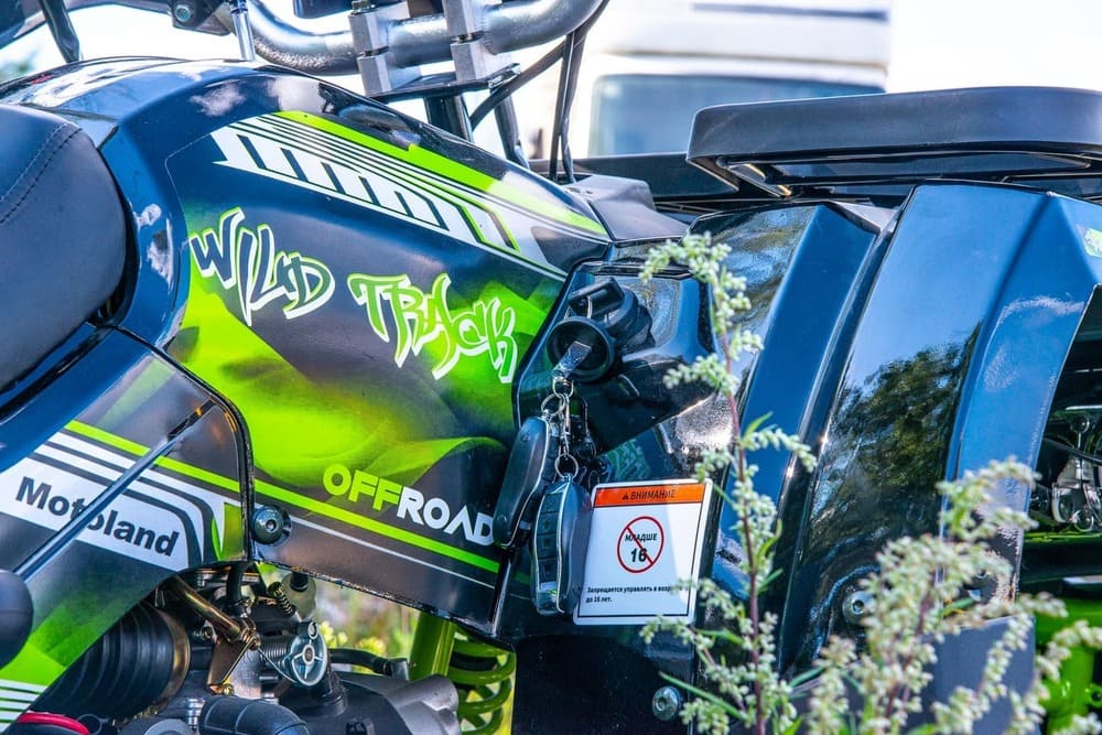 Купить Квадроцикл MOTOLAND 200 Wild Track Lux ( Баланс. вал) (2021 Г.) в Москве фото11