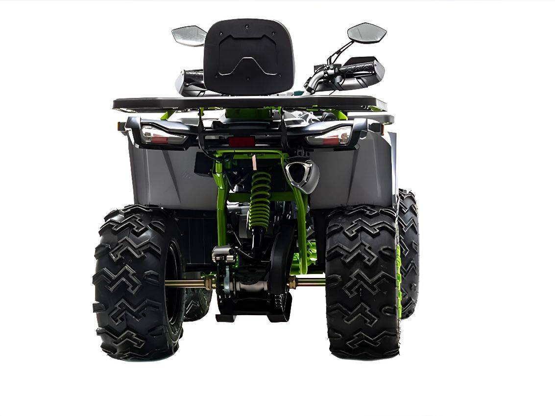 Купить Квадроцикл MOTOLAND 200 Wild Track X Winch в Москве фото2