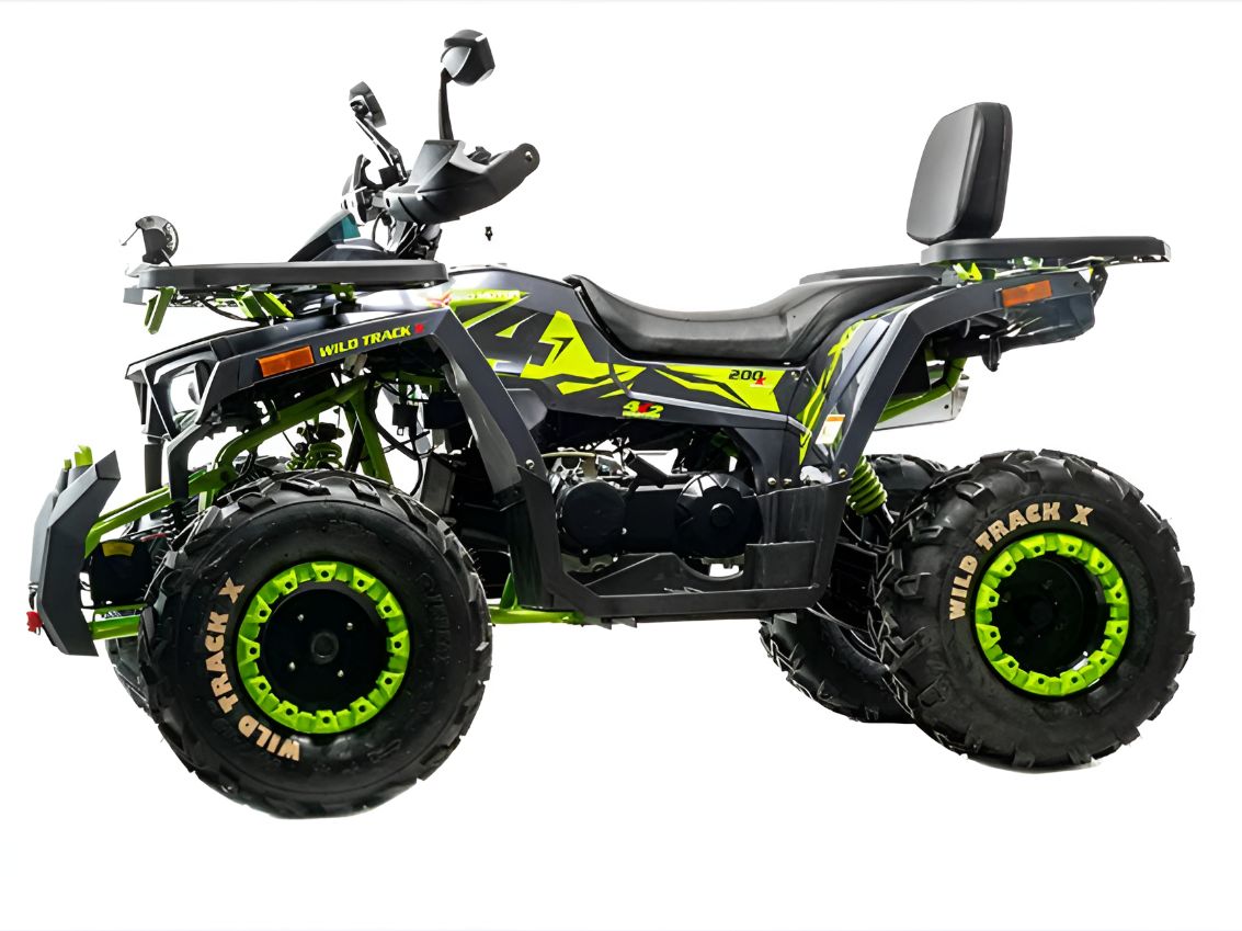 Купить Квадроцикл MOTOLAND 200 Wild Track X Winch в Москве фото3