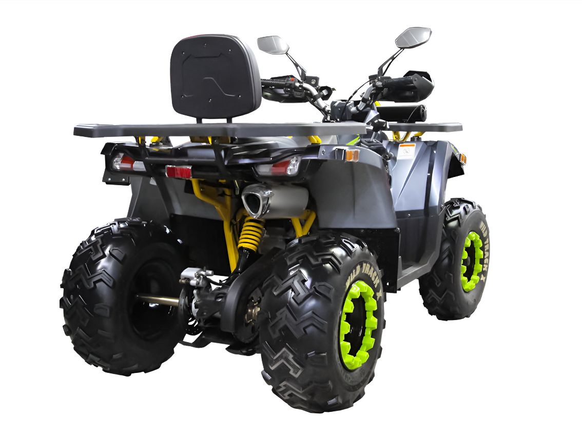 Купить Квадроцикл MOTOLAND 200 Wild Track X Winch в Москве фото4