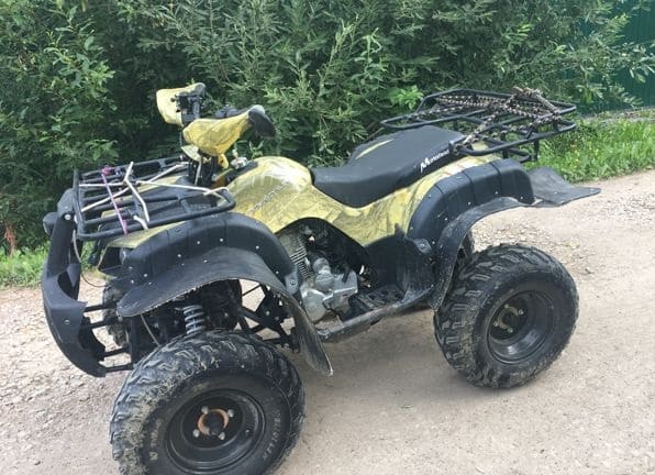 Купить Квадроцикл MOTOLAND 250 Adventure (2021 Г.) в Москве фото8