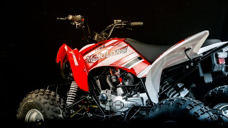 Купить Квадроцикл MOTOLAND 250S в Москве фото4