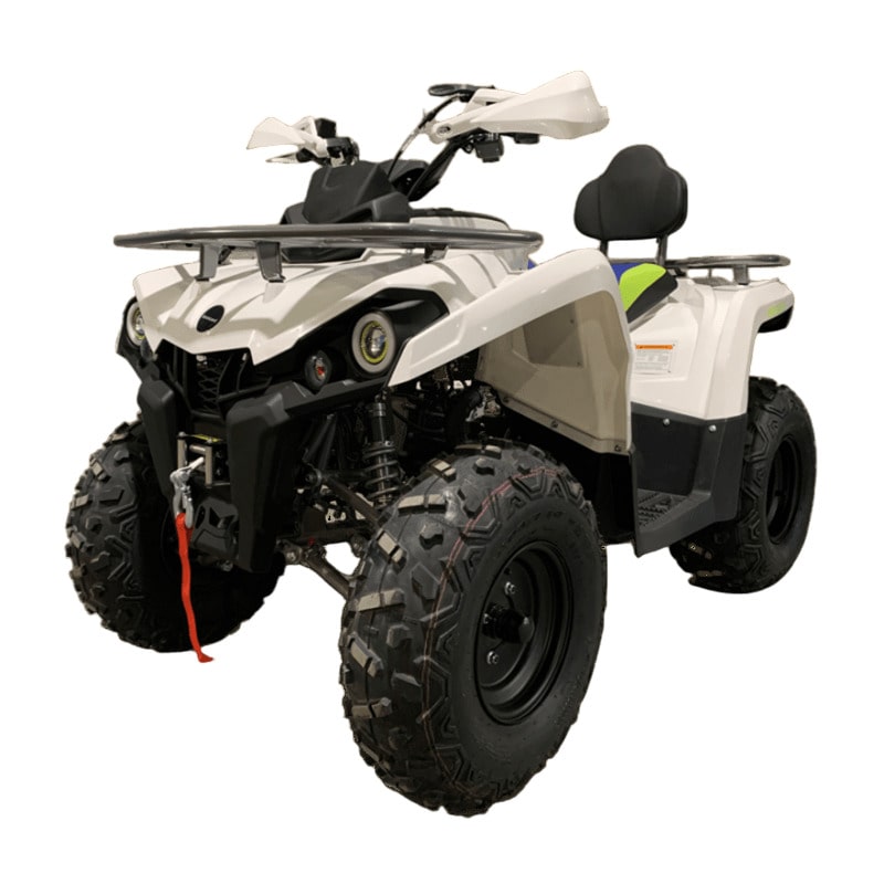 Купить Квадроцикл MOTOLAND Shark 200 в Москве