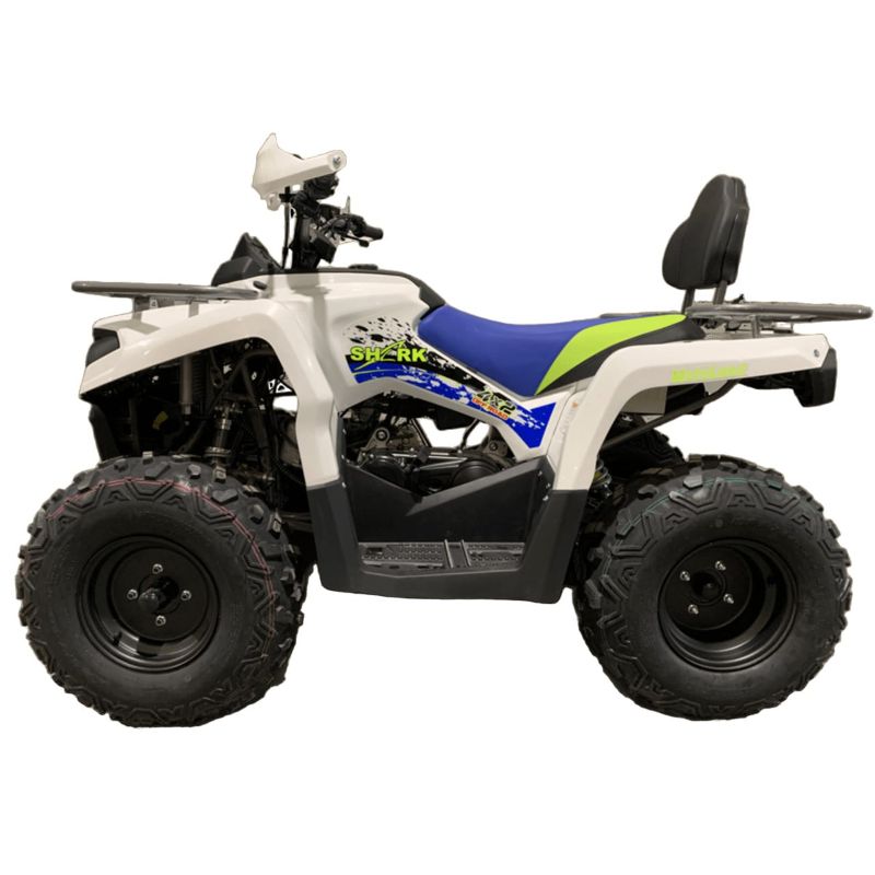 Купить Квадроцикл MOTOLAND Shark 200 в Москве фото4