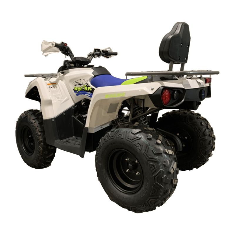 Купить Квадроцикл MOTOLAND Shark 200 в Москве фото6