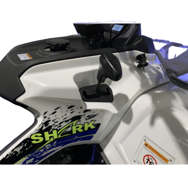 Купить Квадроцикл MOTOLAND Shark 200 в Москве фото9