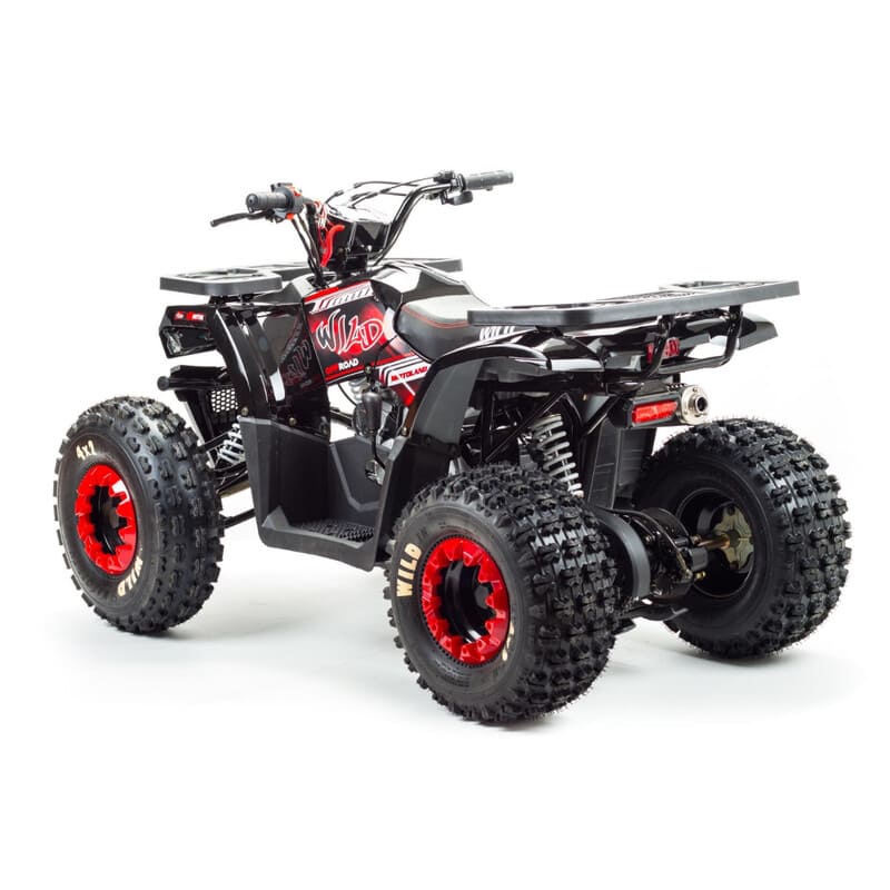 Купить Квадроцикл MOTOLAND Wild 150 в Москве фото5
