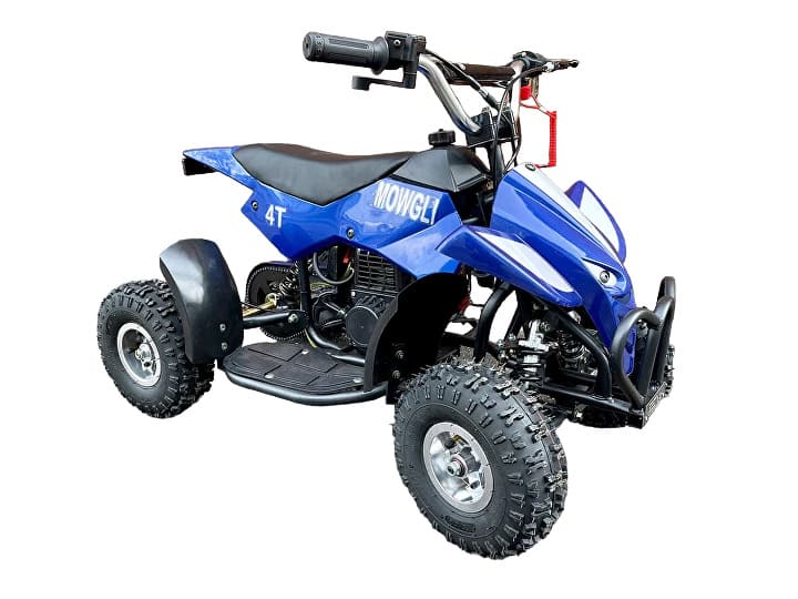 Купить Квадроцикл MOWGLI 4T в Москве фото2