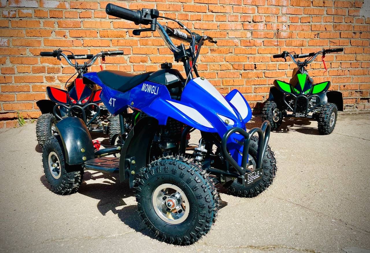Купить Квадроцикл MOWGLI 4T в Москве фото9