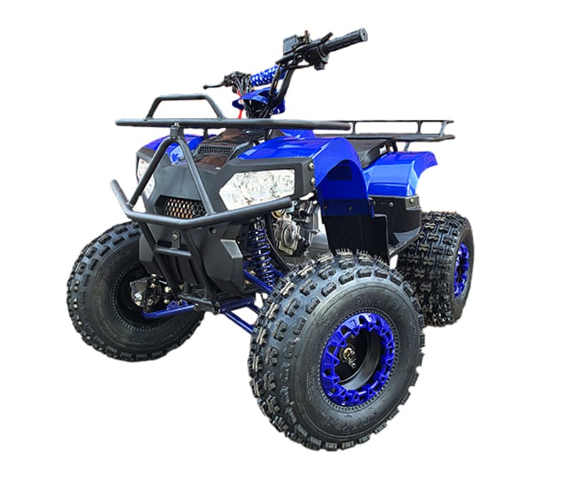 Купить Квадроцикл MOWGLI Bold 8 в Москве