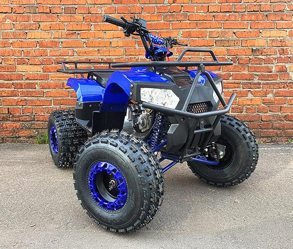 Купить Квадроцикл MOWGLI Bold 8 в Москве фото2