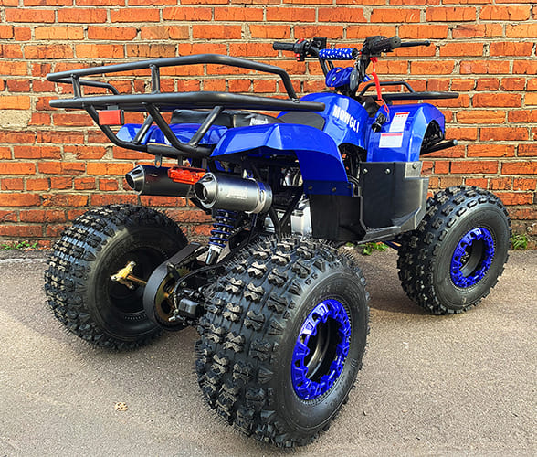 Купить Квадроцикл MOWGLI Bold 8 в Москве фото4