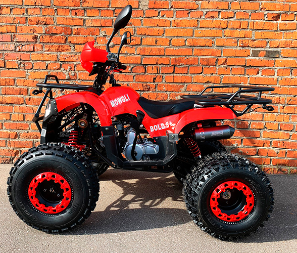 Купить Квадроцикл MOWGLI Bold 8+ в Москве фото2