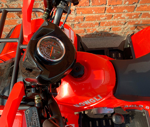 Купить Квадроцикл MOWGLI Bold 8+ в Москве фото5