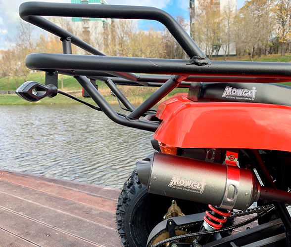 Купить Квадроцикл MOWGLI Bold 8+ в Москве фото8