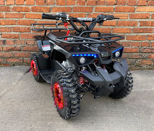 Купить Квадроцикл MOWGLI Mini Hardy 4T в Москве фото4