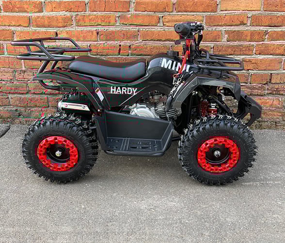Купить Квадроцикл MOWGLI Mini Hardy 4T в Москве фото5