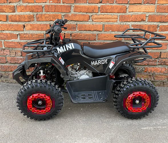Купить Квадроцикл MOWGLI Mini Hardy 4T в Москве фото6