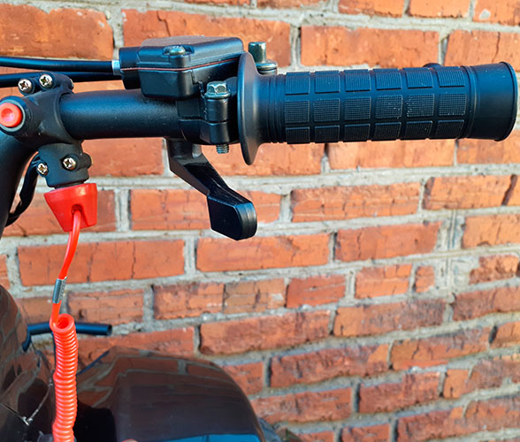 Купить Квадроцикл MOWGLI S07B в Москве фото5