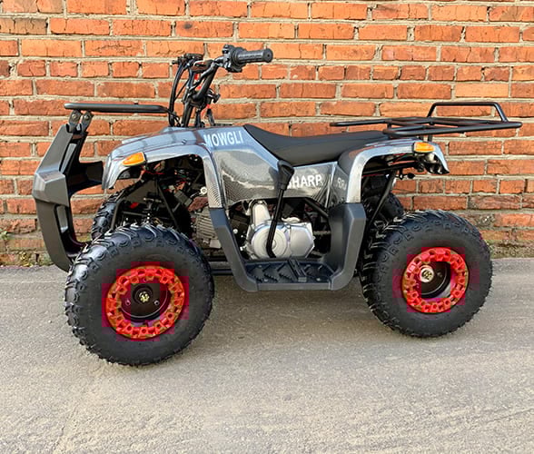 Купить Квадроцикл MOWGLI Sharp в Москве фото4